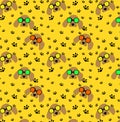 A seamless pattern with spaniel dogs in colourful sunglasses